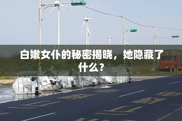白嫩女仆的秘密揭晓，她隐藏了什么？