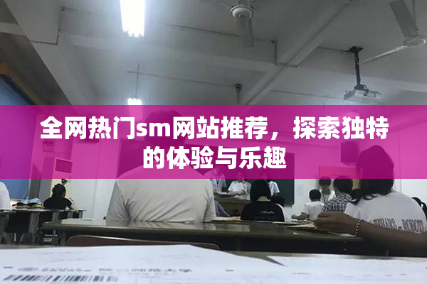 全网热门sm网站推荐，探索独特的体验与乐趣
