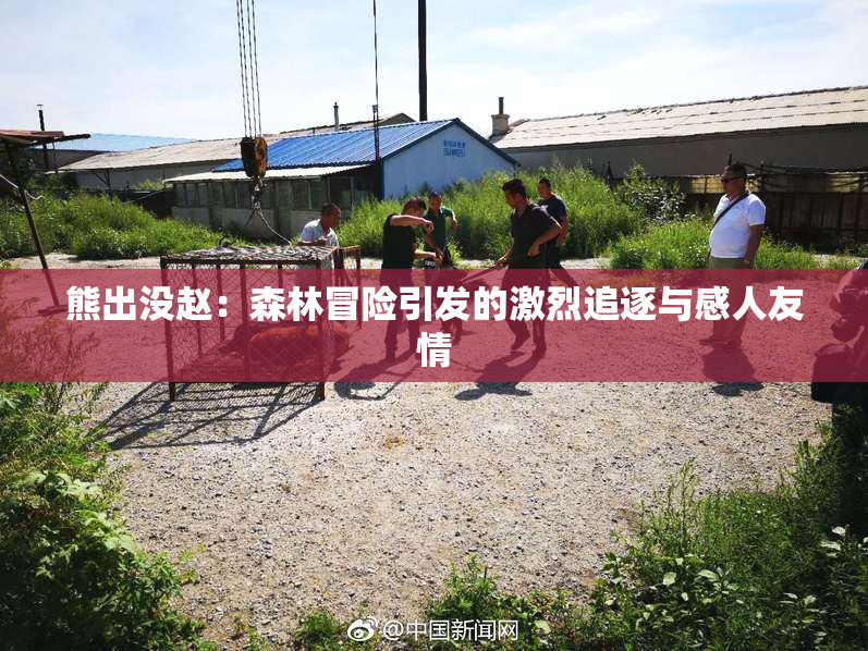 熊出没赵：森林冒险引发的激烈追逐与感人友情