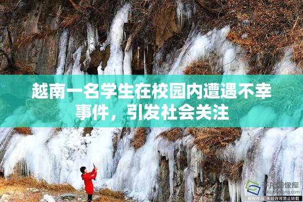 越南一名学生在校园内遭遇不幸事件，引发社会关注