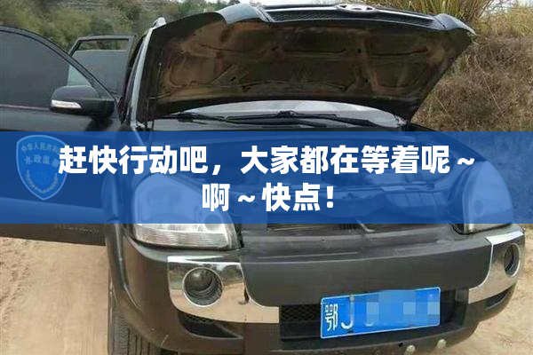 赶快行动吧，大家都在等着呢～啊～快点！