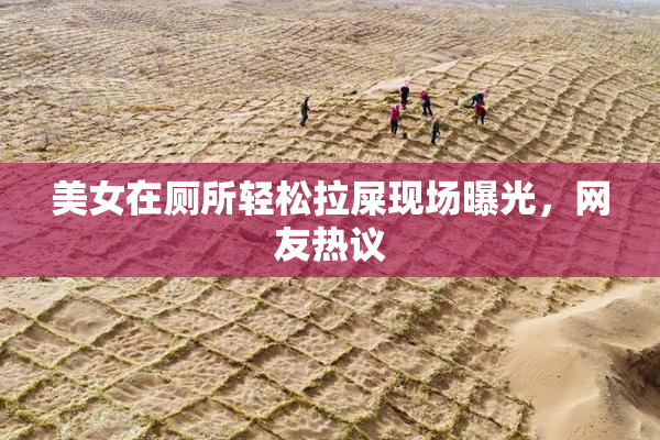美女在厕所轻松拉屎现场曝光，网友热议