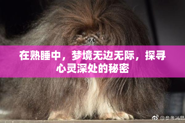 在熟睡中，梦境无边无际，探寻心灵深处的秘密