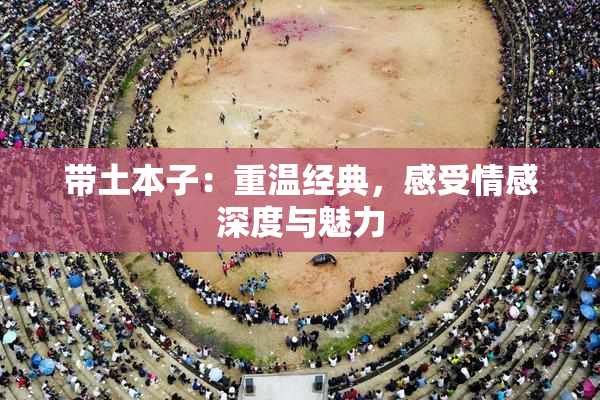 带土本子：重温经典，感受情感深度与魅力