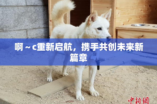 啊～c重新启航，携手共创未来新篇章