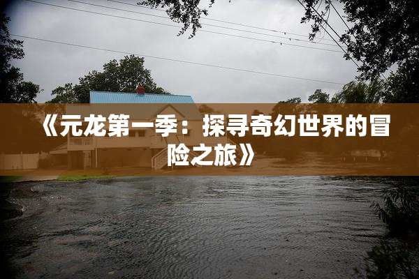 《元龙第一季：探寻奇幻世界的冒险之旅》
