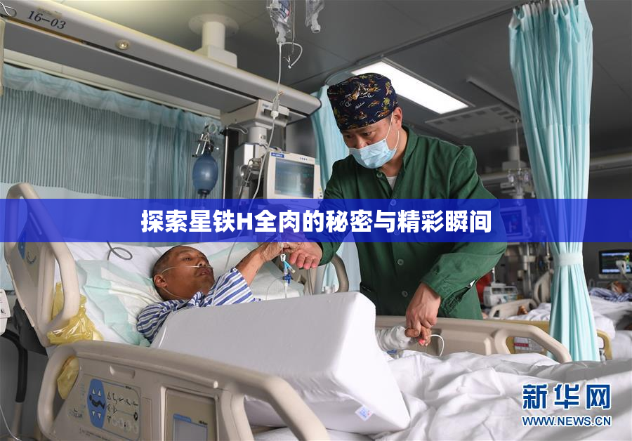 探索星铁H全肉的秘密与精彩瞬间