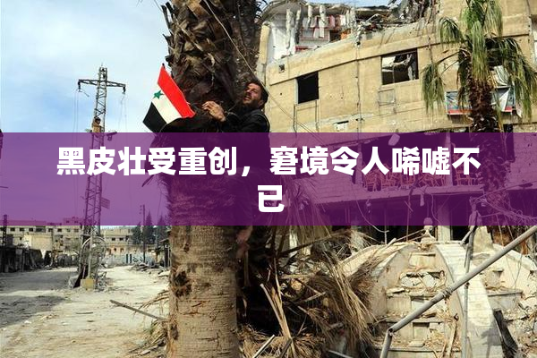 黑皮壮受重创，窘境令人唏嘘不已
