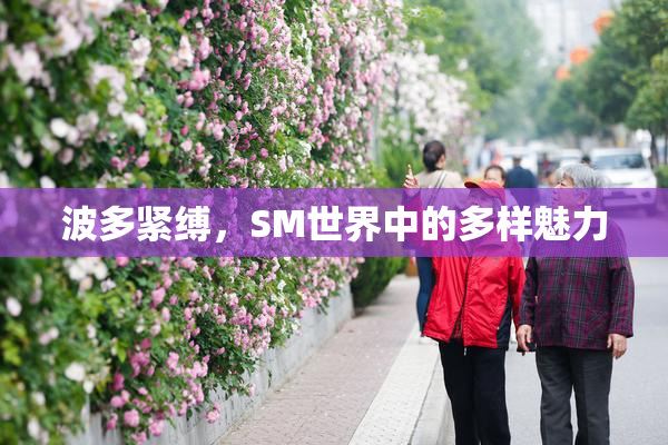波多紧缚，SM世界中的多样魅力