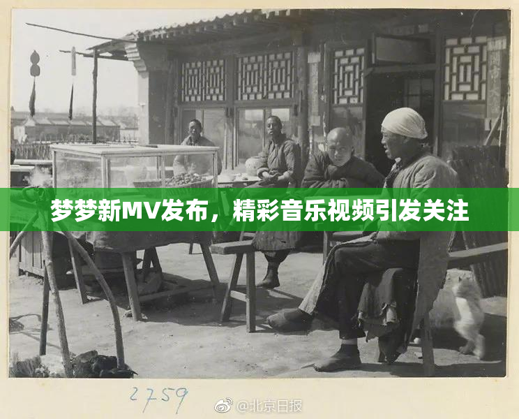 梦梦新MV发布，精彩音乐视频引发关注