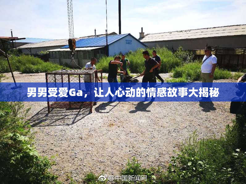 男男受爱Ga，让人心动的情感故事大揭秘