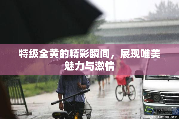 特级全黄的精彩瞬间，展现唯美魅力与激情