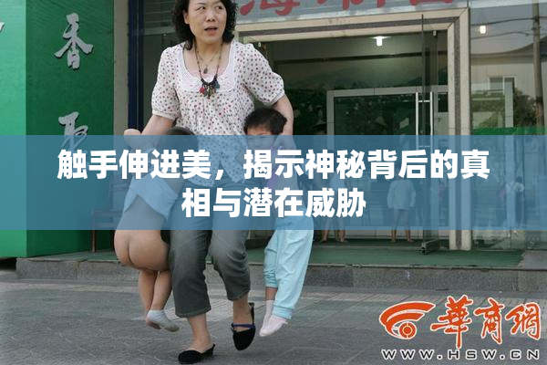 触手伸进美，揭示神秘背后的真相与潜在威胁