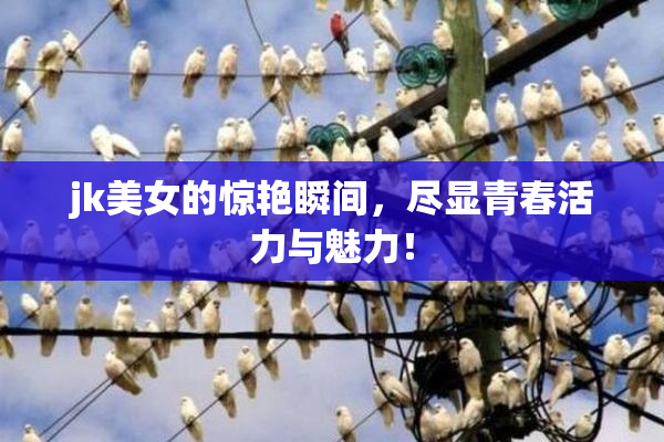 jk美女的惊艳瞬间，尽显青春活力与魅力！