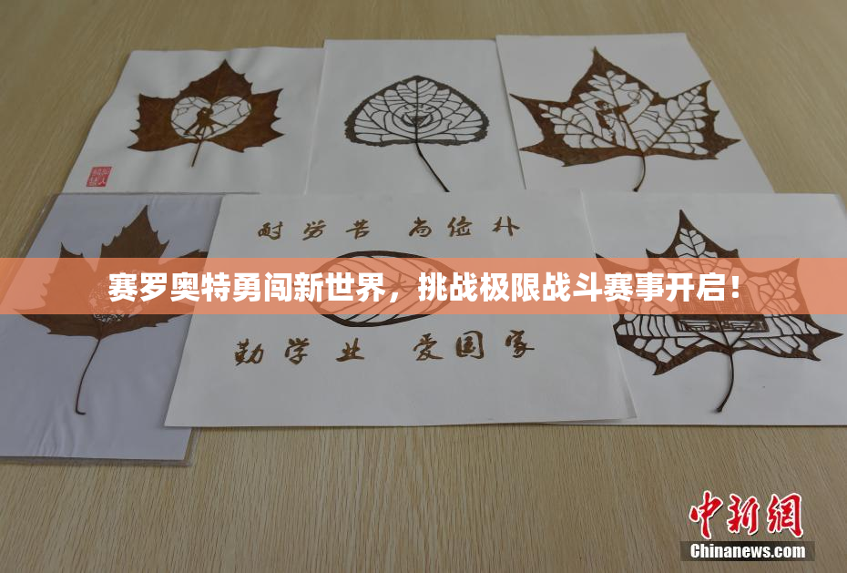 赛罗奥特勇闯新世界，挑战极限战斗赛事开启！