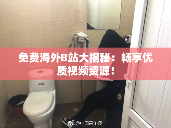 免费海外B站大揭秘：畅享优质视频资源！