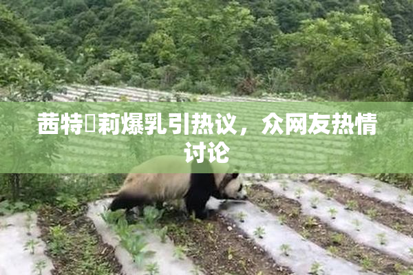 茜特菈莉爆乳引热议，众网友热情讨论