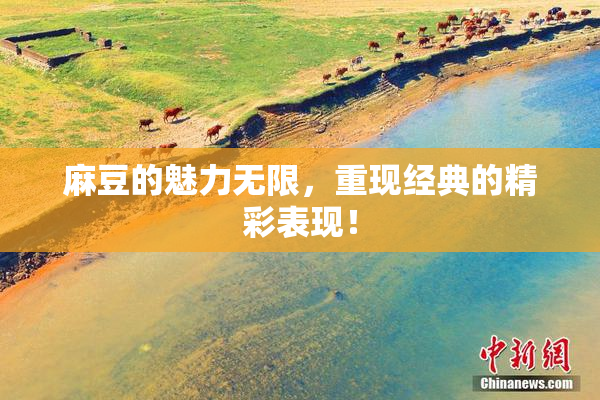 麻豆的魅力无限，重现经典的精彩表现！