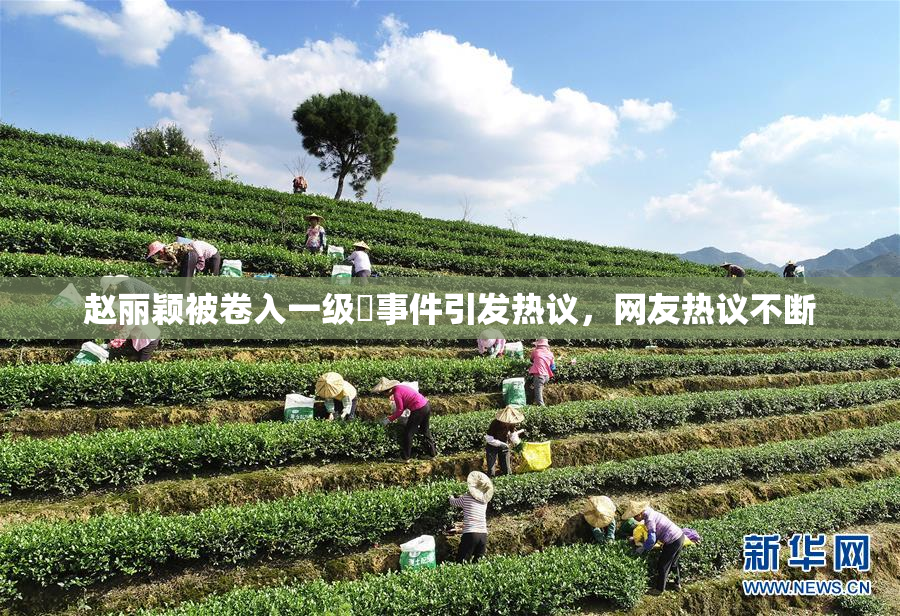 赵丽颖被卷入一级婬事件引发热议，网友热议不断