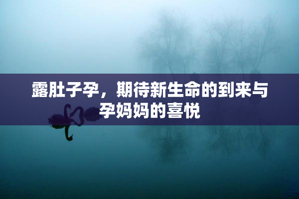 露肚子孕，期待新生命的到来与孕妈妈的喜悦