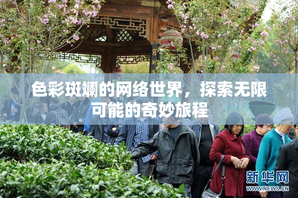 色彩斑斓的网络世界，探索无限可能的奇妙旅程