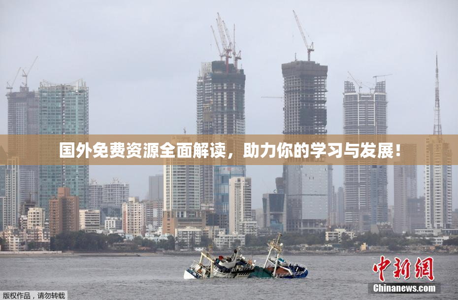 国外免费资源全面解读，助力你的学习与发展！