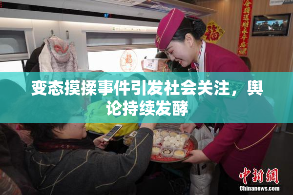 变态摸揉事件引发社会关注，舆论持续发酵