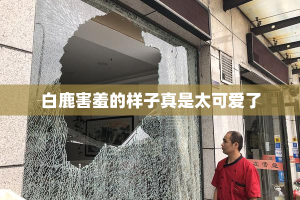 白鹿害羞的样子真是太可爱了