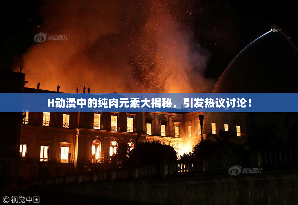 H动漫中的纯肉元素大揭秘，引发热议讨论！