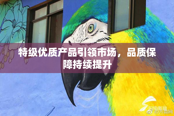 特级优质产品引领市场，品质保障持续提升