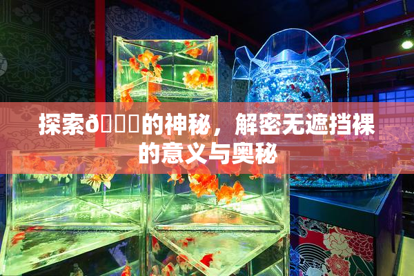 探索🔞的神秘，解密无遮挡裸的意义与奥秘