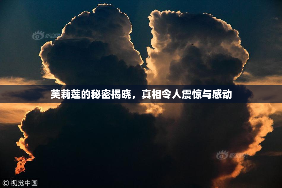 芙莉莲的秘密揭晓，真相令人震惊与感动