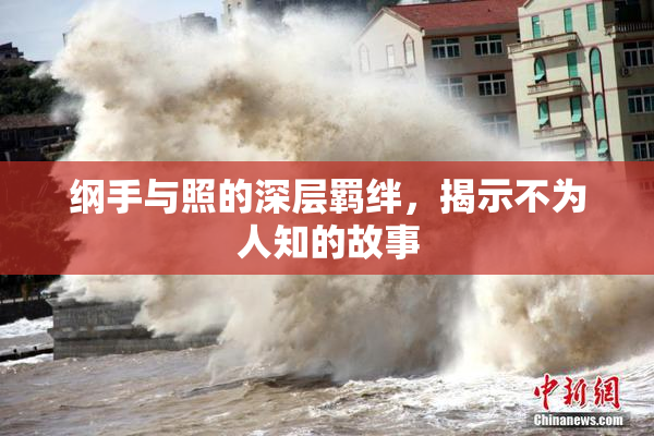 纲手与照的深层羁绊，揭示不为人知的故事
