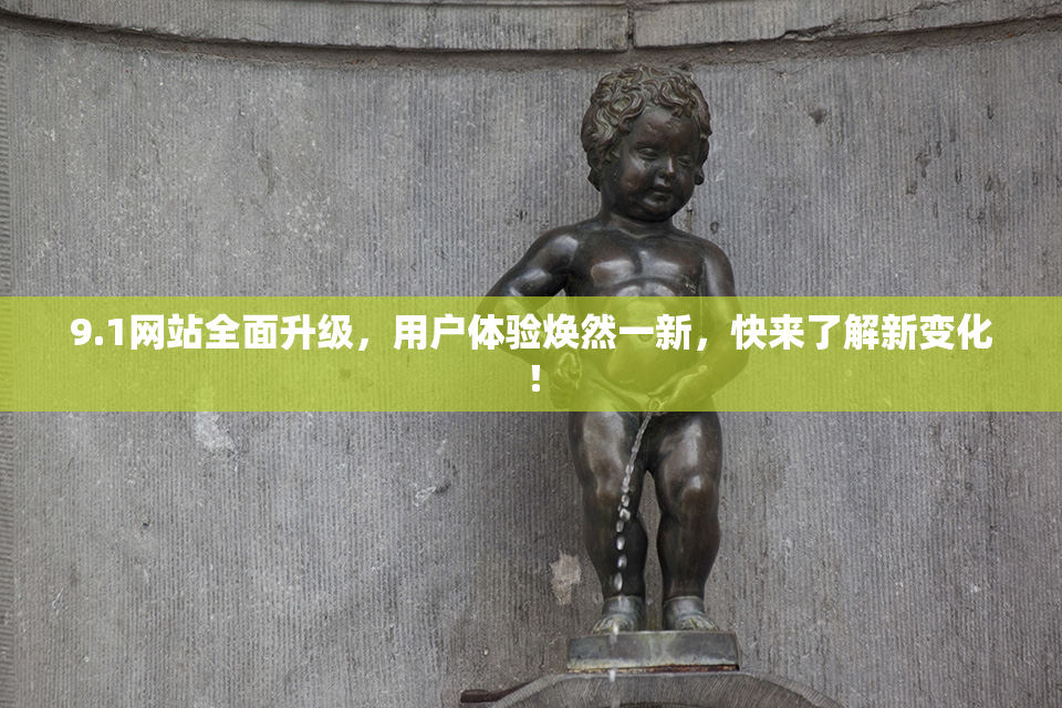 9.1网站全面升级，用户体验焕然一新，快来了解新变化！