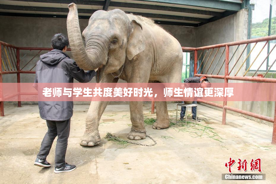 老师与学生共度美好时光，师生情谊更深厚