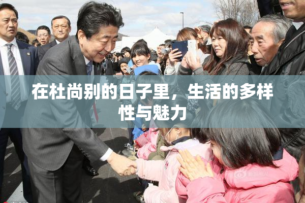 在杜尚别的日子里，生活的多样性与魅力