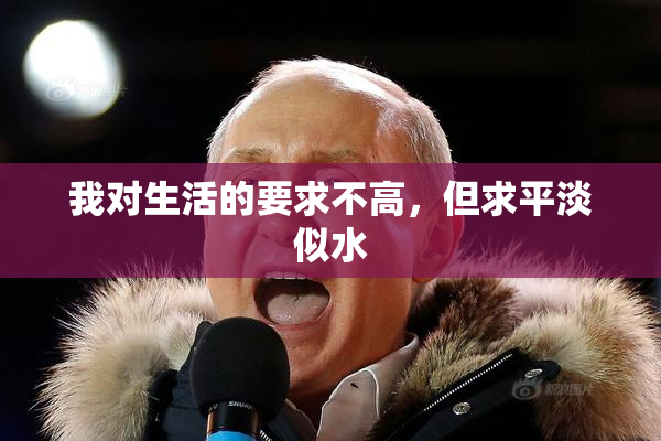 我对生活的要求不高，但求平淡似水