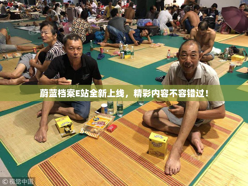 蔚蓝档案E站全新上线，精彩内容不容错过！