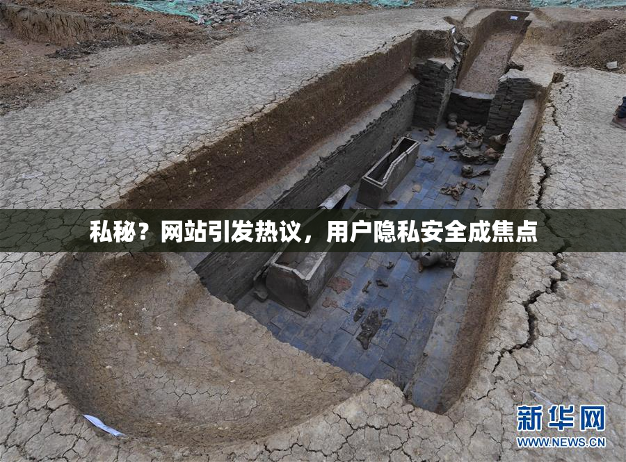 私秘？网站引发热议，用户隐私安全成焦点