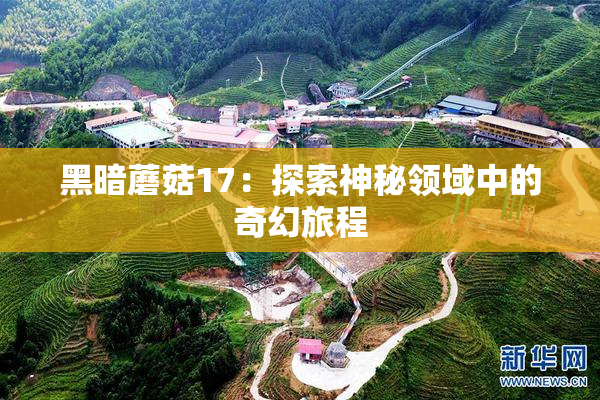 黑暗蘑菇17：探索神秘领域中的奇幻旅程