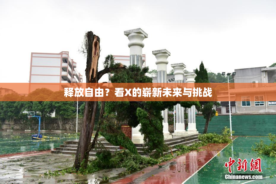 释放自由？看X的崭新未来与挑战