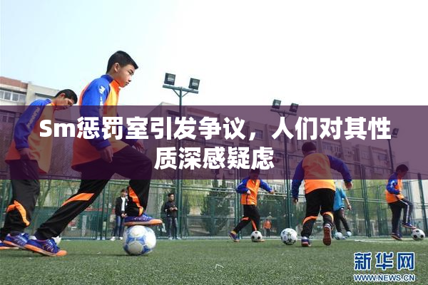 Sm惩罚室引发争议，人们对其性质深感疑虑
