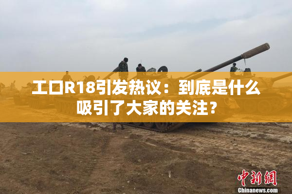 工口R18引发热议：到底是什么吸引了大家的关注？