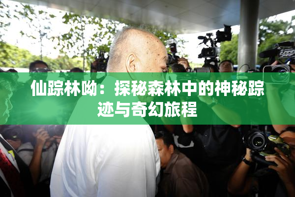 仙踪林呦：探秘森林中的神秘踪迹与奇幻旅程