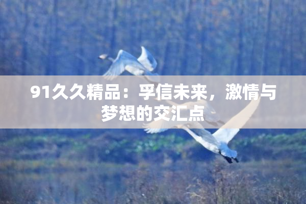 91久久精品：孚信未来，激情与梦想的交汇点