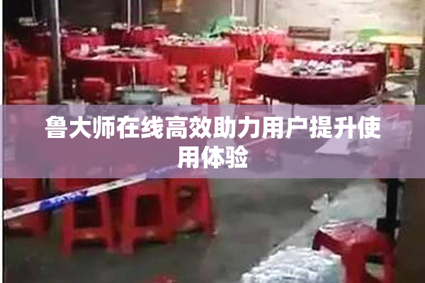 鲁大师在线高效助力用户提升使用体验