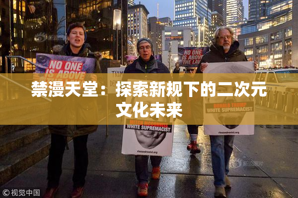 禁漫天堂：探索新规下的二次元文化未来