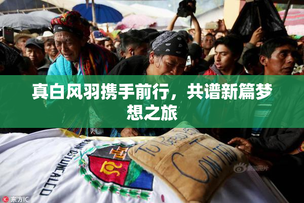 真白风羽携手前行，共谱新篇梦想之旅