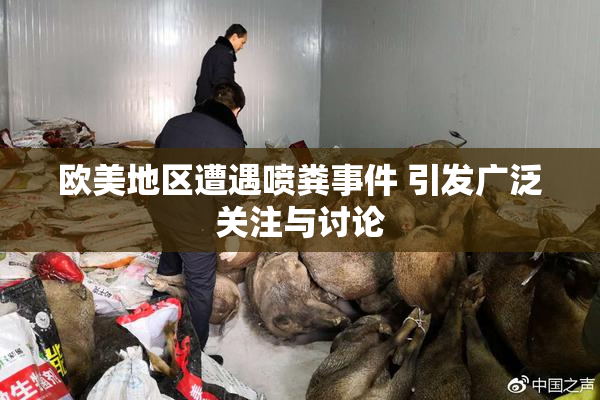 欧美地区遭遇喷粪事件 引发广泛关注与讨论