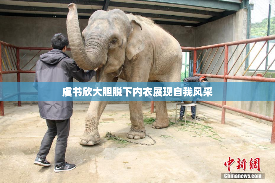 虞书欣大胆脱下内衣展现自我风采